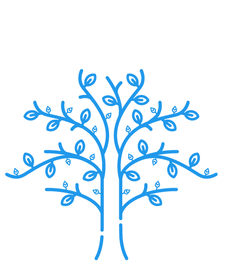 Fruit tree icon