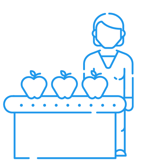 Worker sorting fruit at conveyer belt