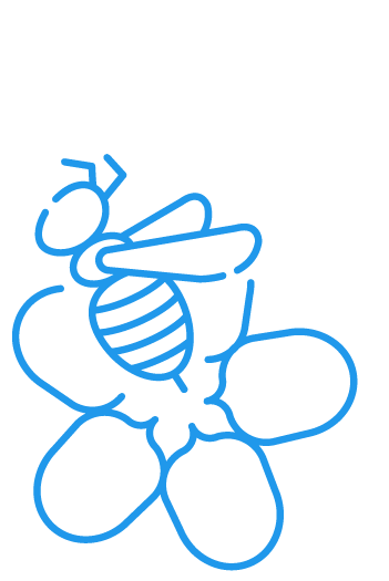 Bee and blossom icon