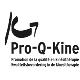 Pro Q Kine Logo