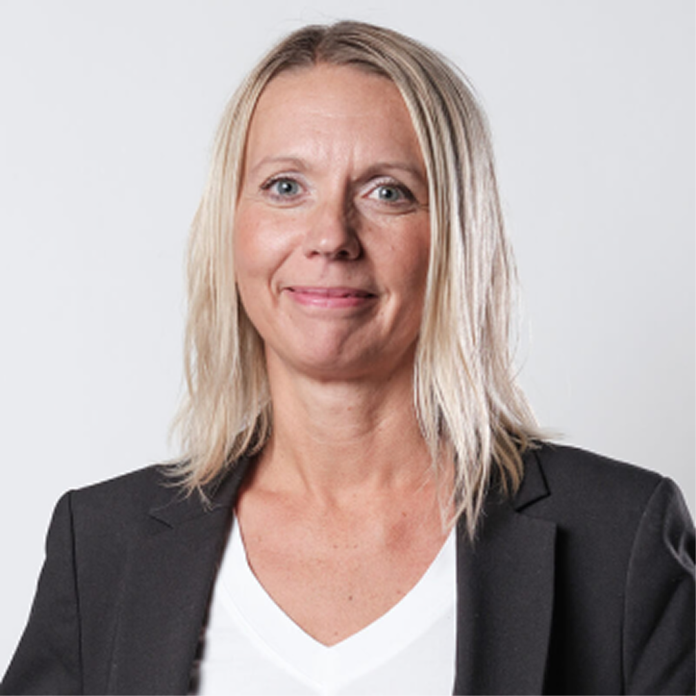 Vy över stadskärnan i Visby