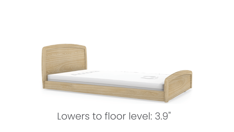 Empresa Adjustable Hospital Bed