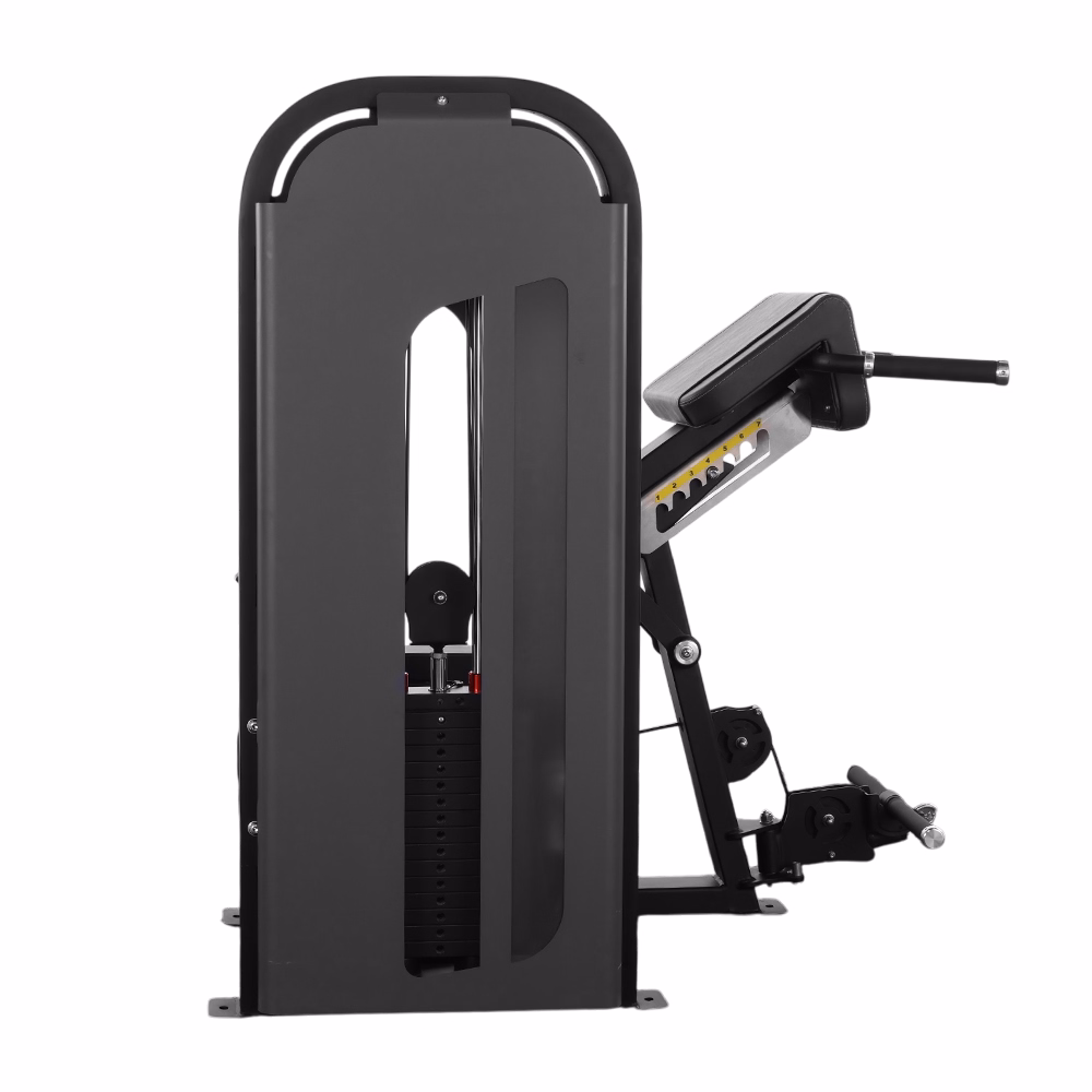 Hip Back Extension