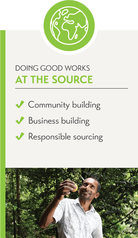 Graphic showing At the Source bullet points