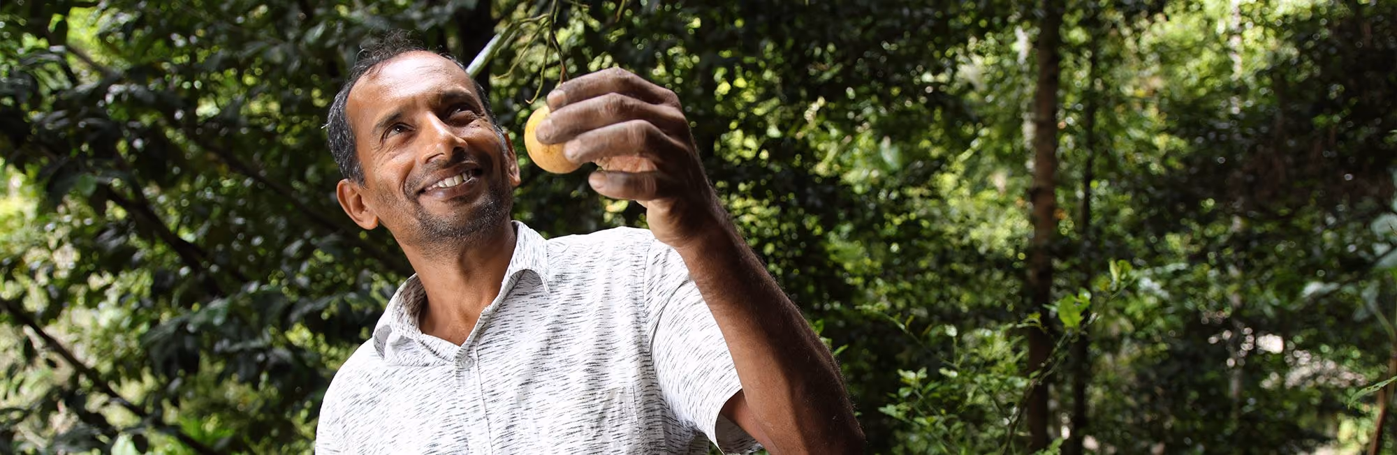 Nutmeg farmer