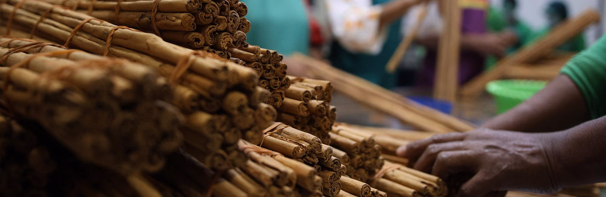 Cinnamon stick bundles