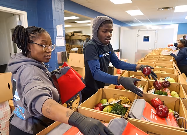 Volunteers sorting apples