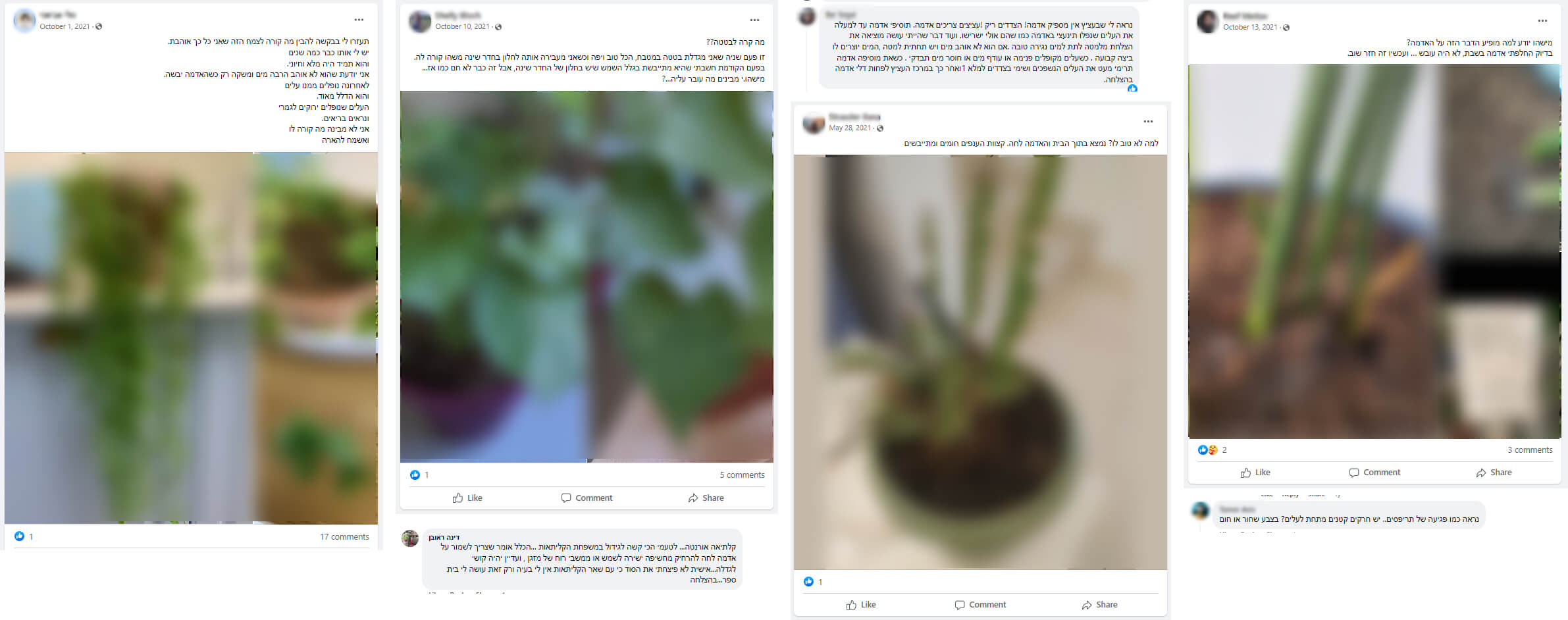 social media screenshots