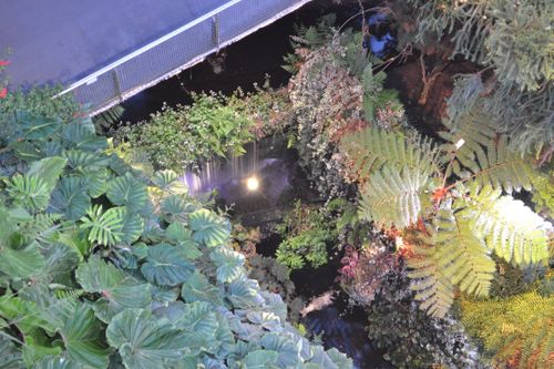 plants from the cloud garden in marina bay sands