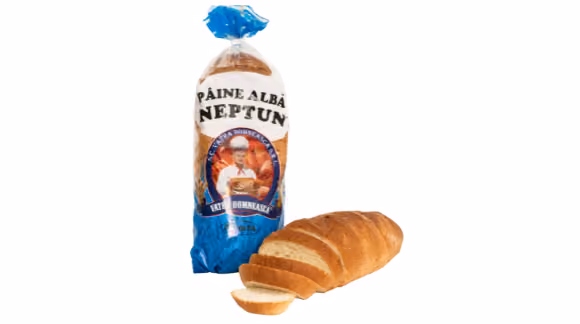 PAINE ALBA NEPTUN 500 GR. 