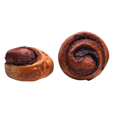 Two chocolate swirl cinnamon rolls with a golden-brown crust on a white background.