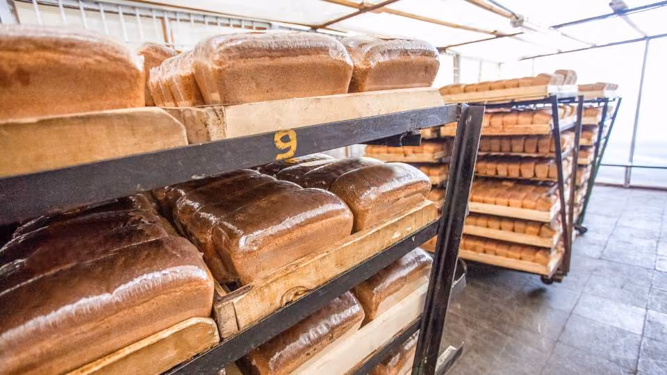 Shelves stocked with large loaves of bread wrapped in plastic in a bakery or storage room.