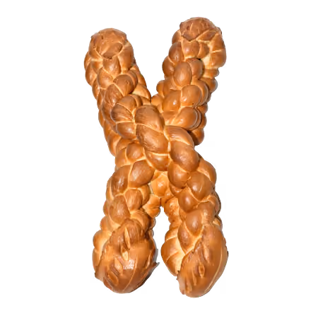 Two braided bread loaves crossed against a white background.