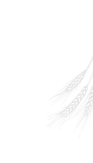 Gray hand-drawn botanical illustration of pine tree branches on black background, positioned at the bottom right corner.
