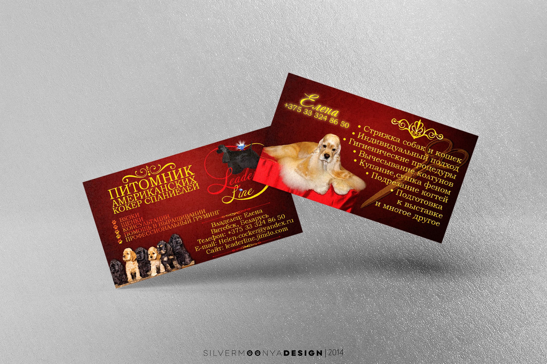 Cards