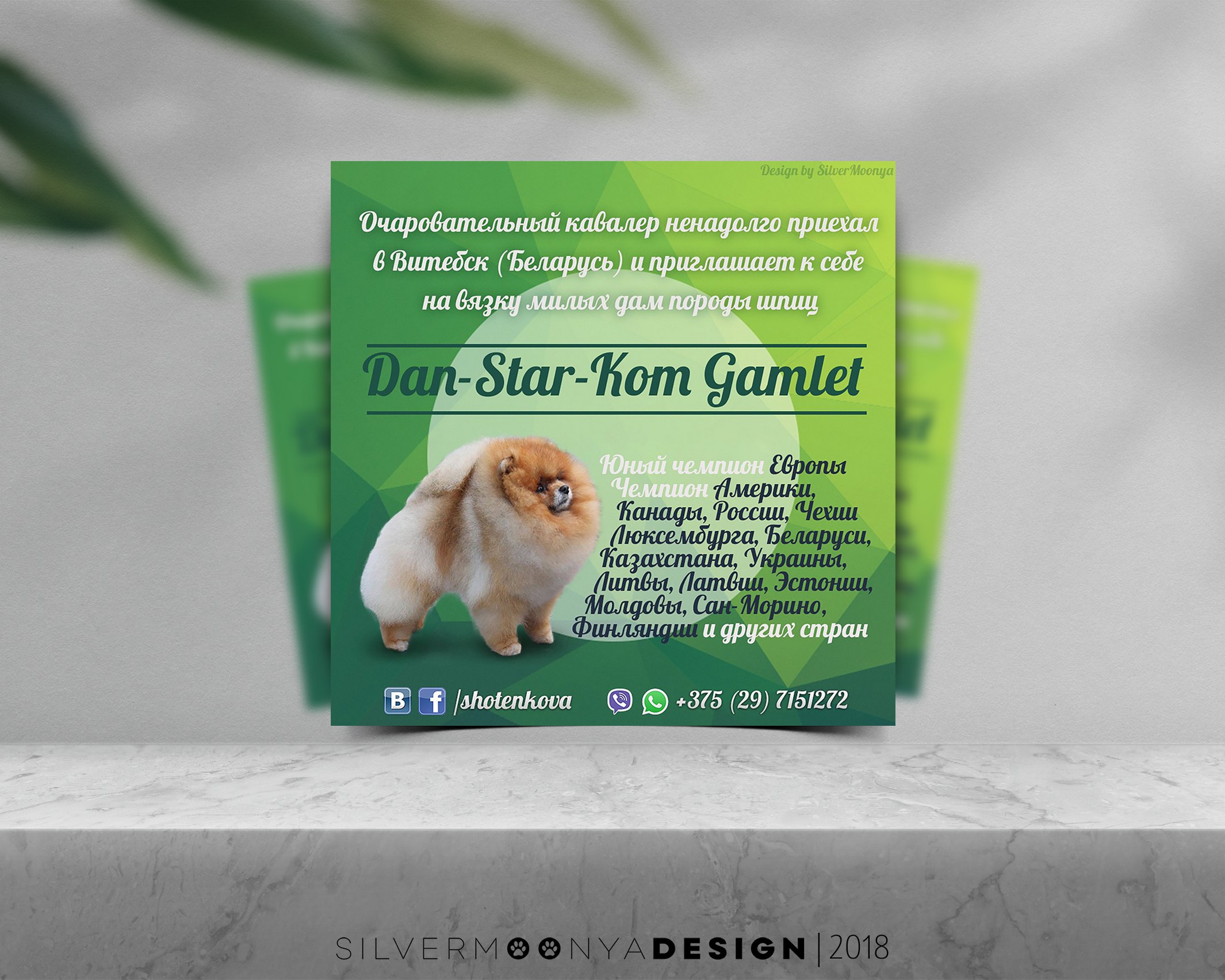 DAN-STAR-KOM ADS