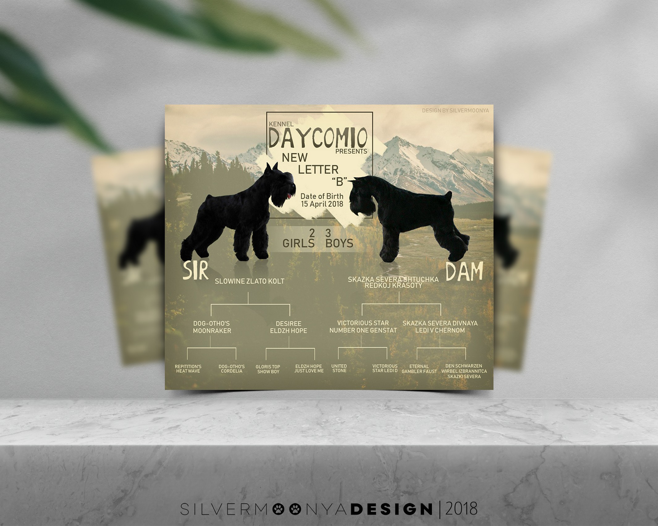 DAYCOMIO ADS