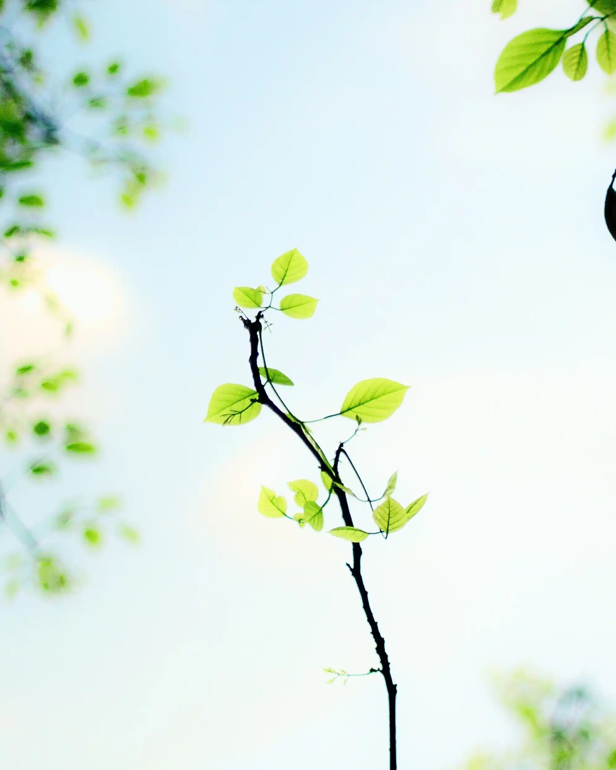 Unchained Music’s commitment to sustainability.
