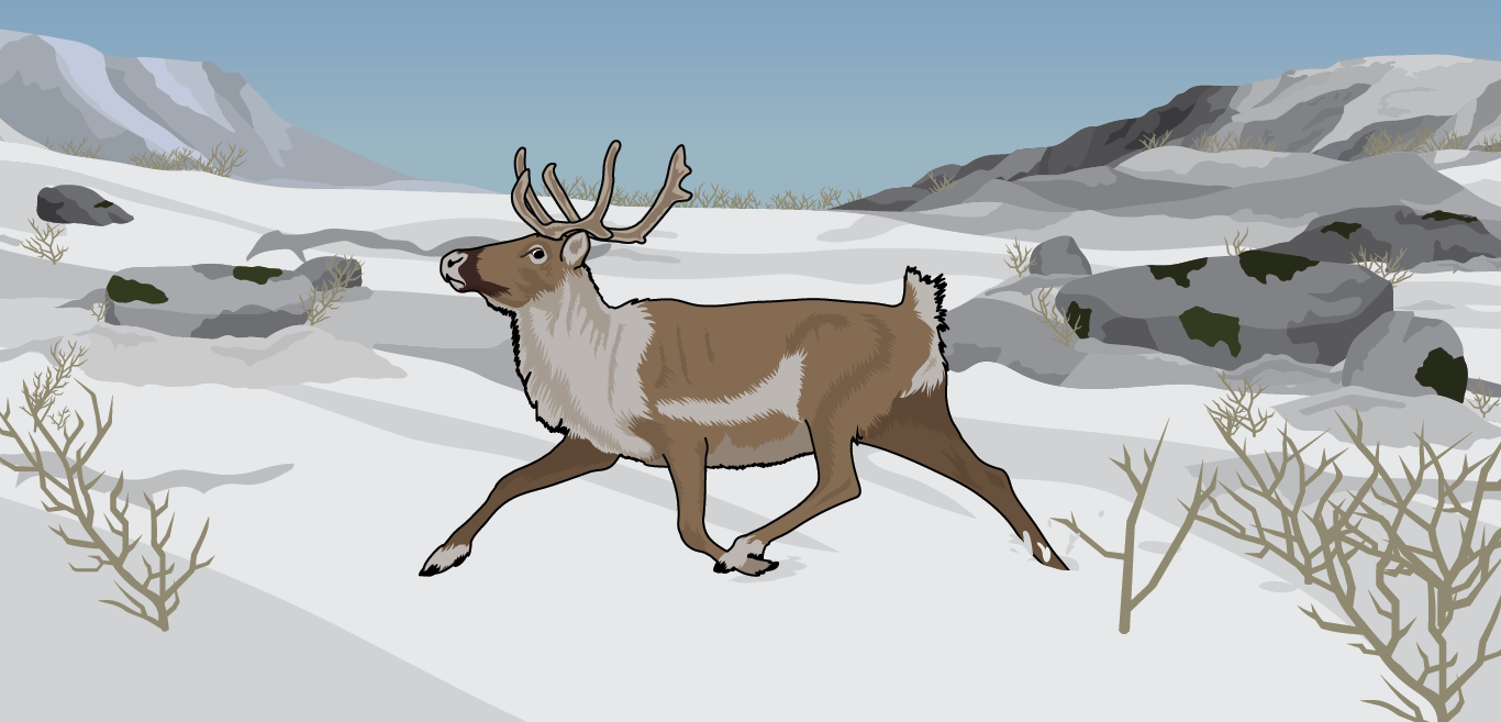 Illustration of a caribou running in snowy field