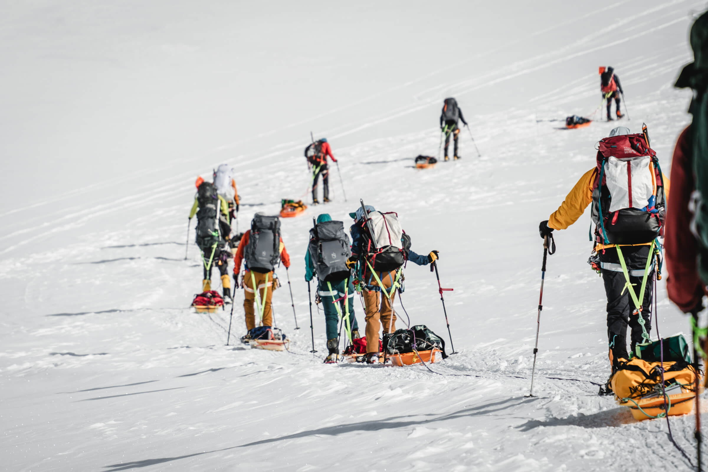 Sled Teams | Mount Denali