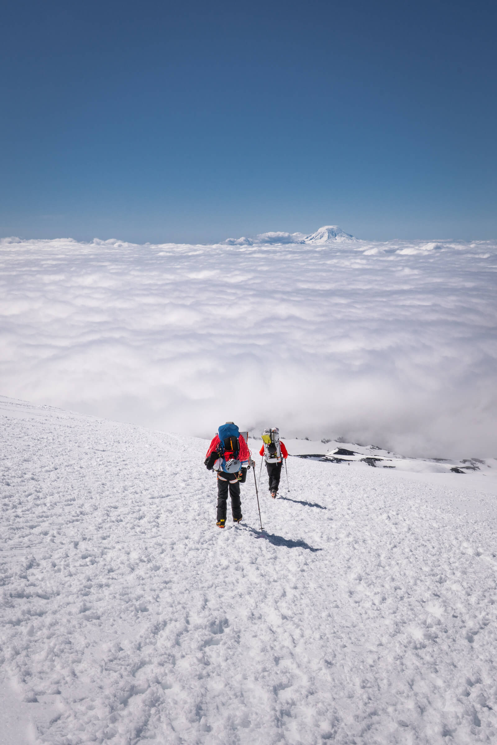 Mount Rainier | Washington