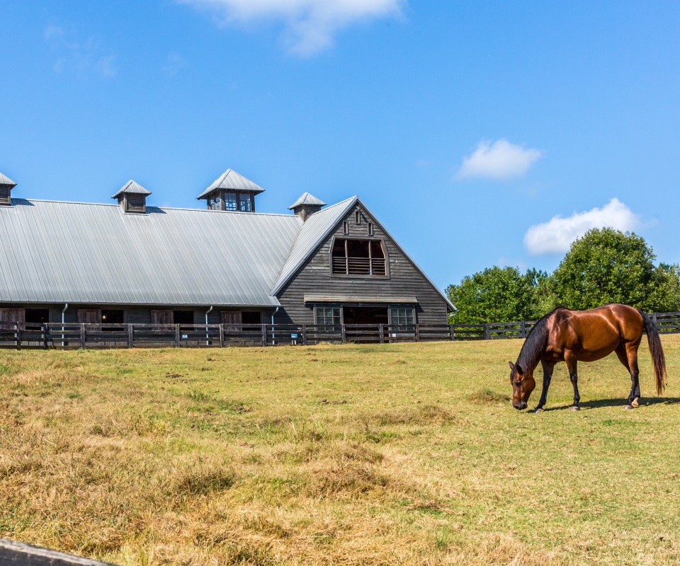 Serenbe stables
