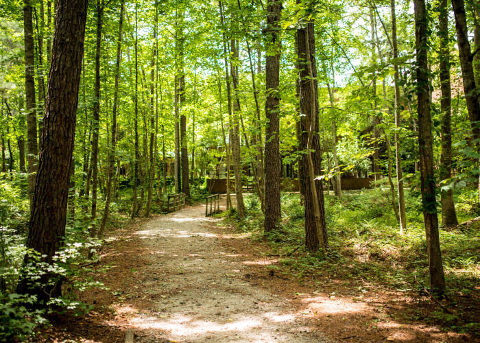 Nature trails through Serenbe's preserved land