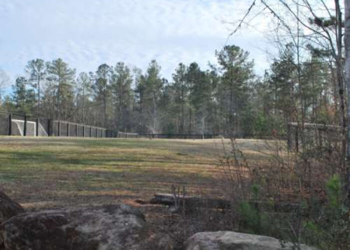Nature trails through Serenbe's preserved land