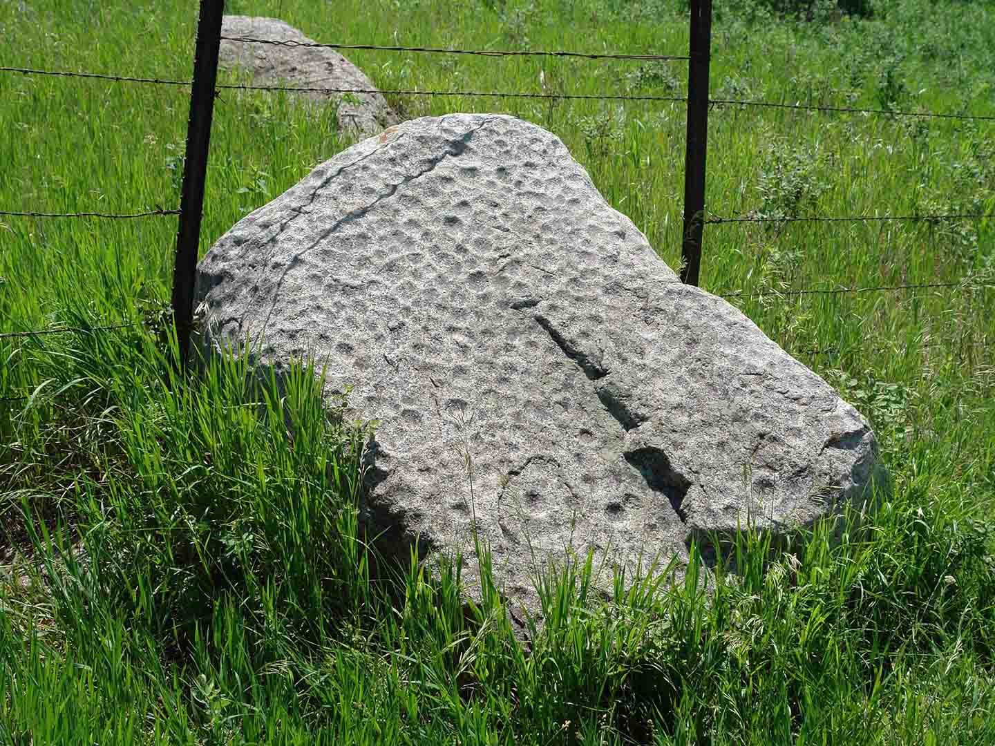 A photo of a rock in a field.