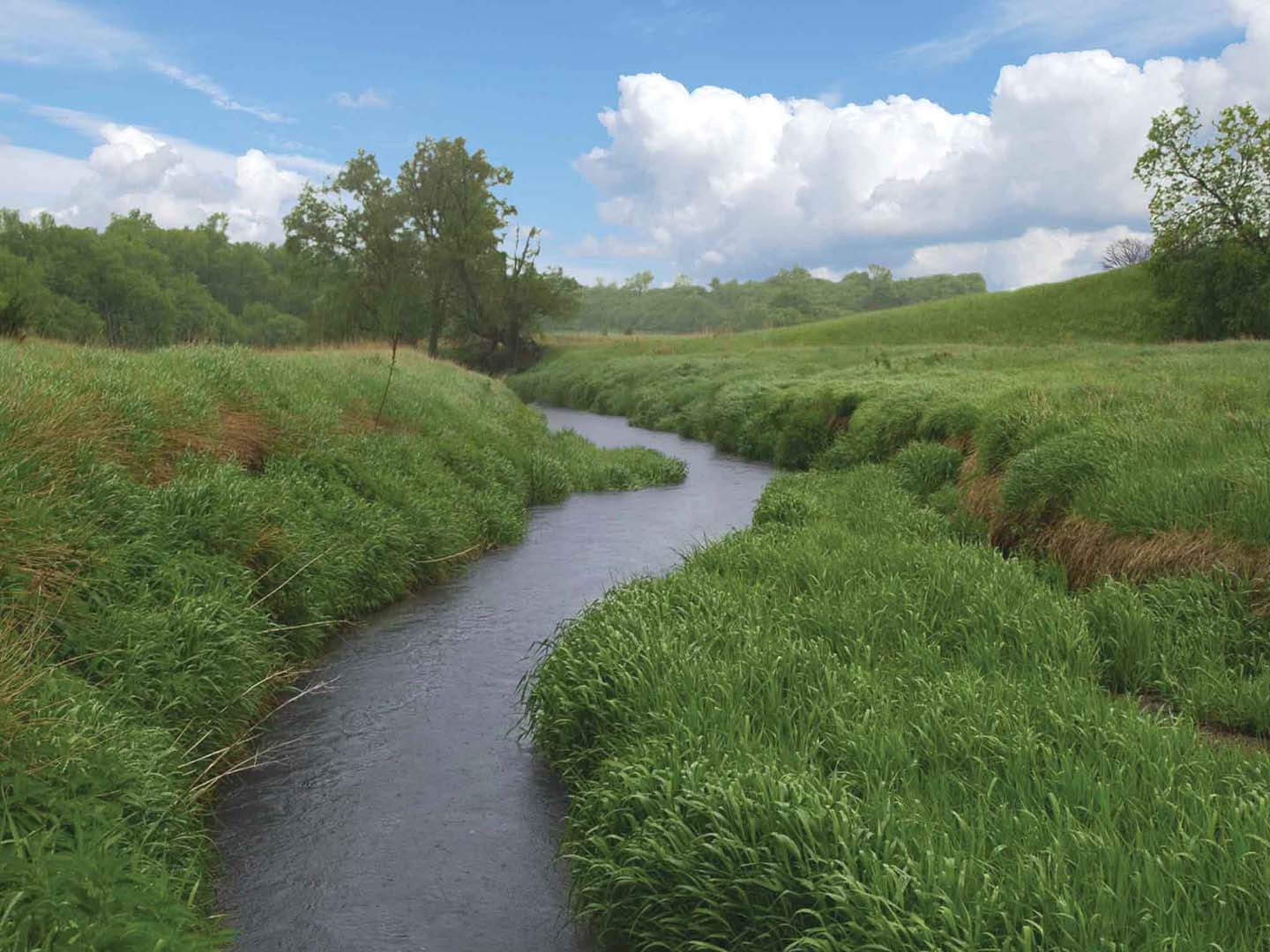  A photo of a small river andn grass.