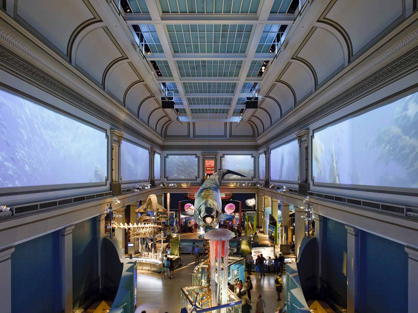 Photo of interior museum exhibit.