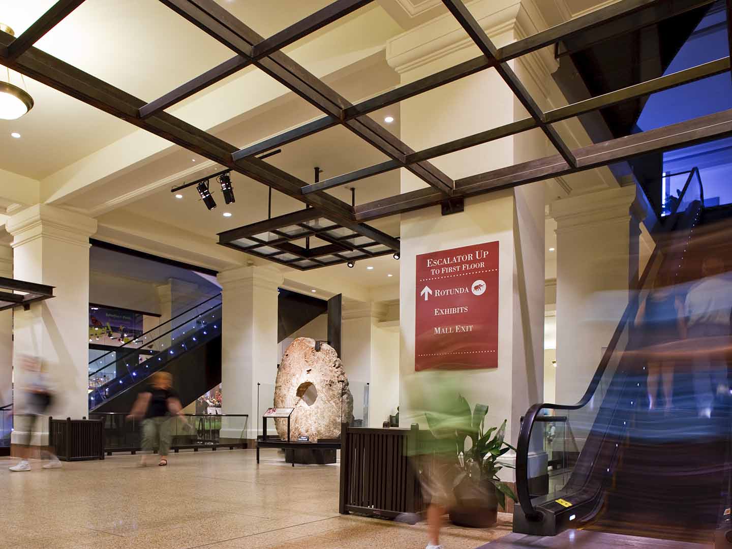 Photo of interior museum Rotunda and escalators.
