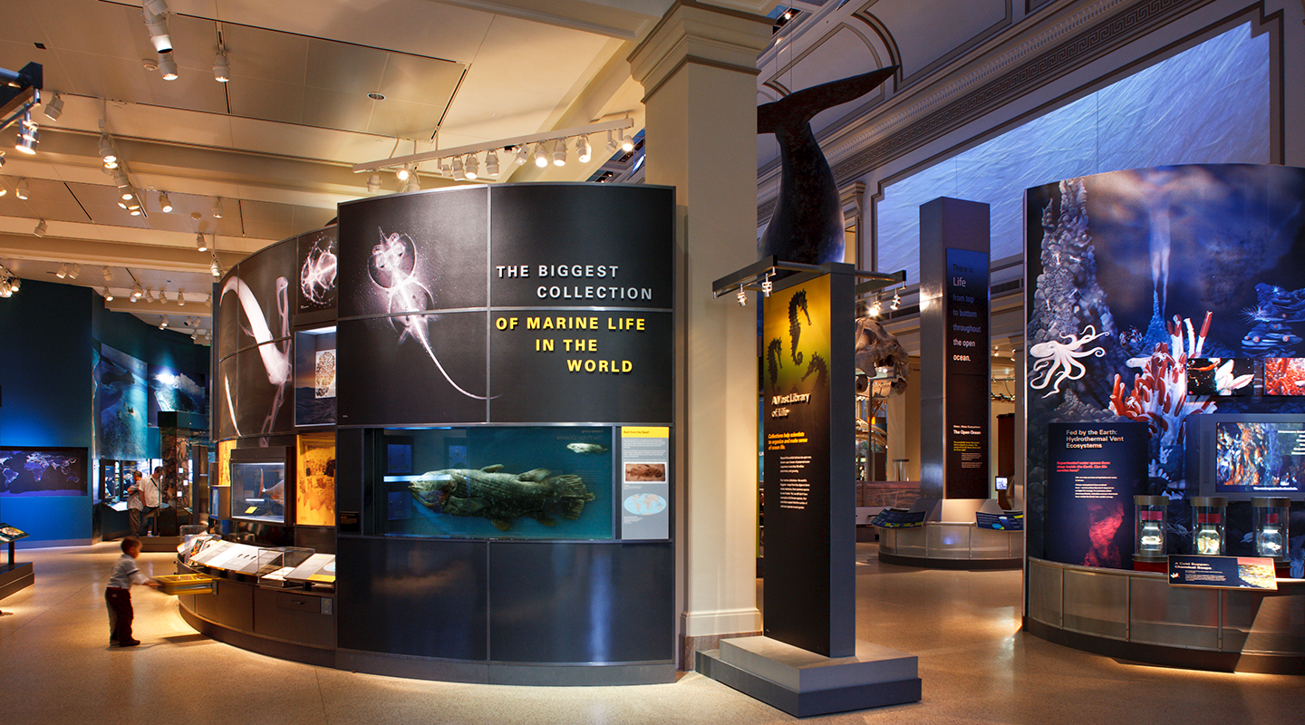 Photo of interior museum exhibit.
