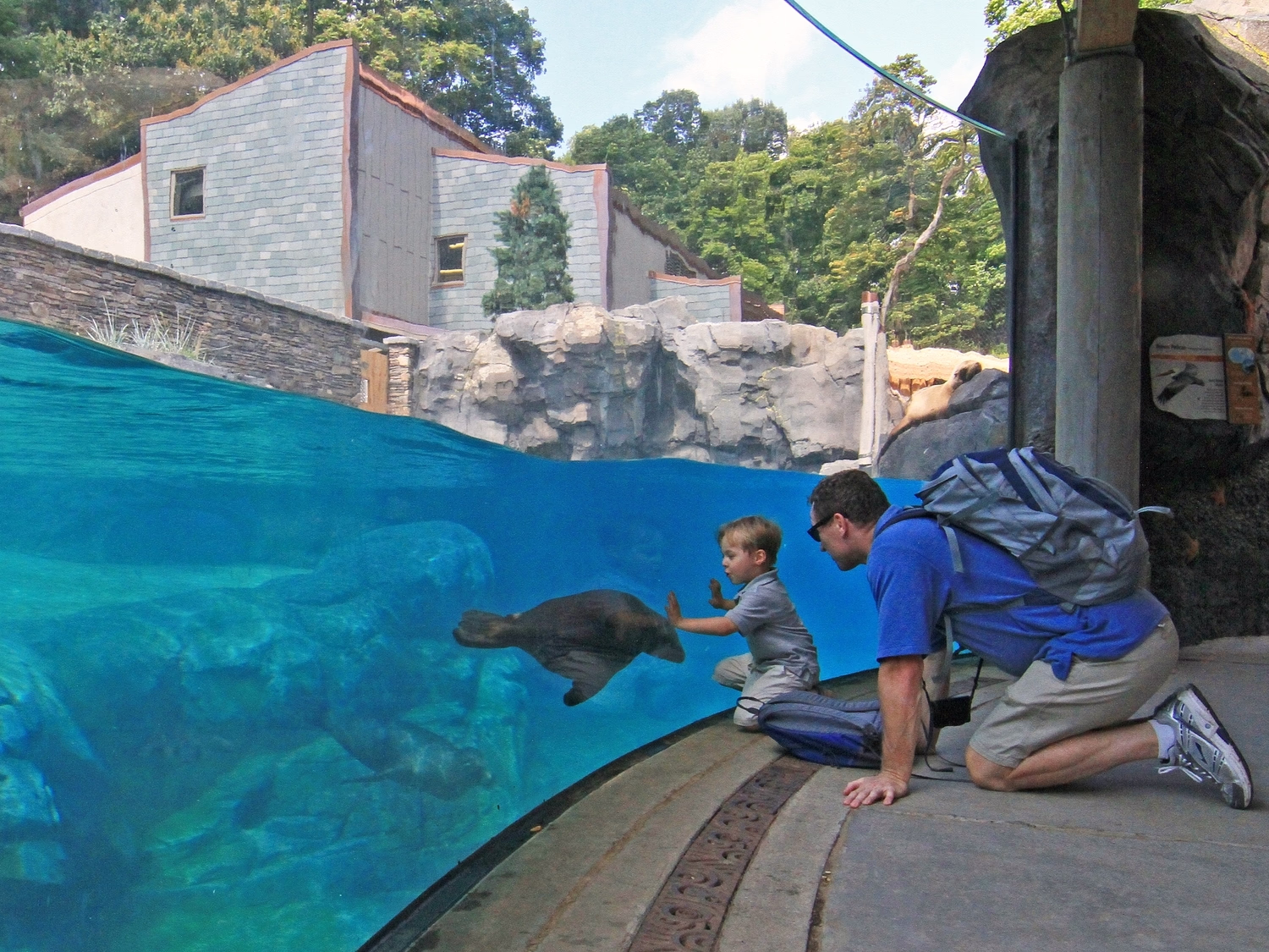 Seal and Sea Lion Exhibit