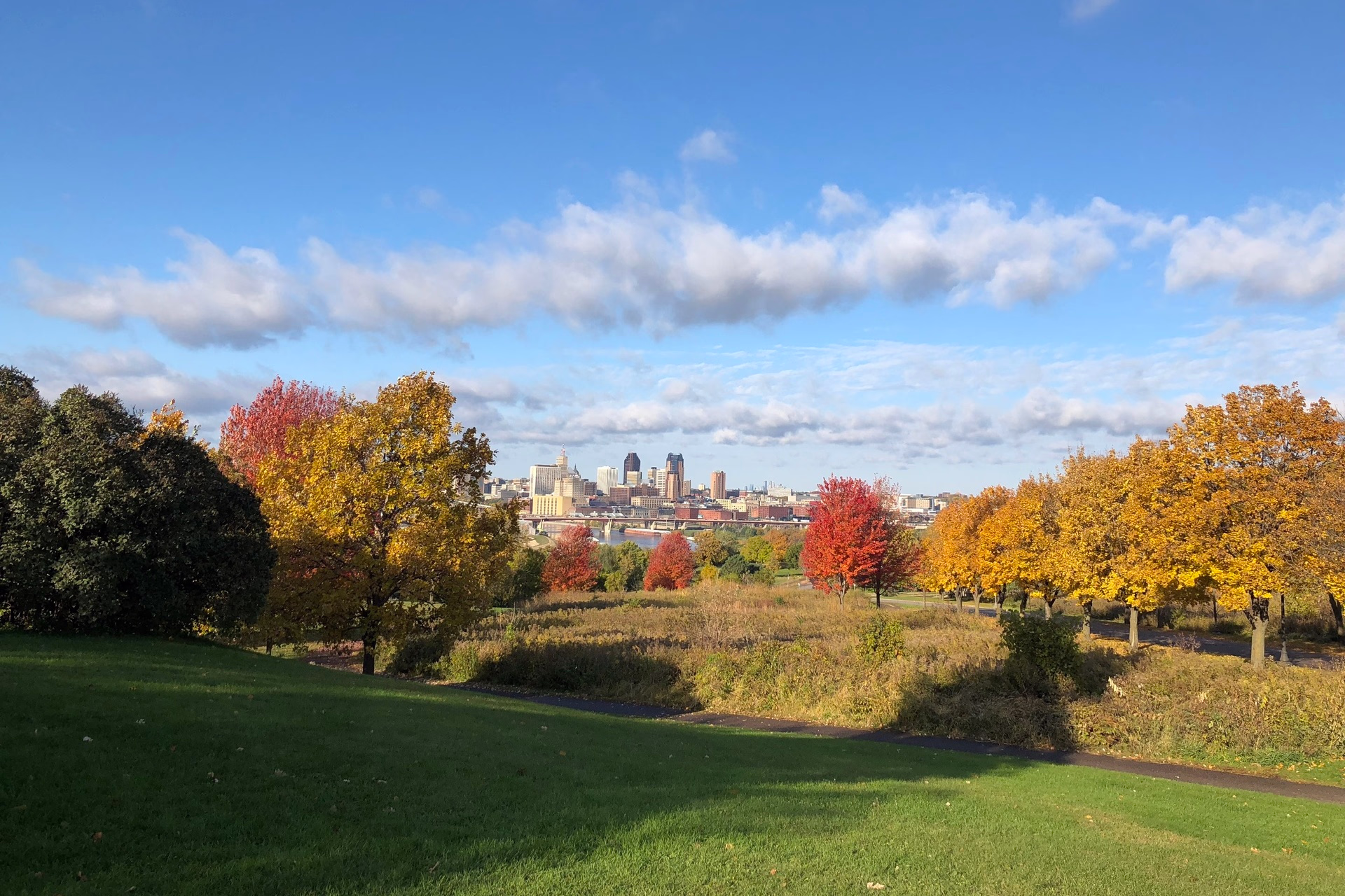 A photo of a landscape dotted with trees and funeral mounds with a river and downtown skyline in the background.