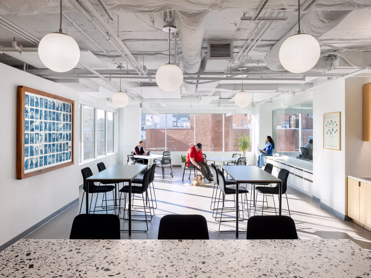 Case Studies in Daylighting for Circadian Health
