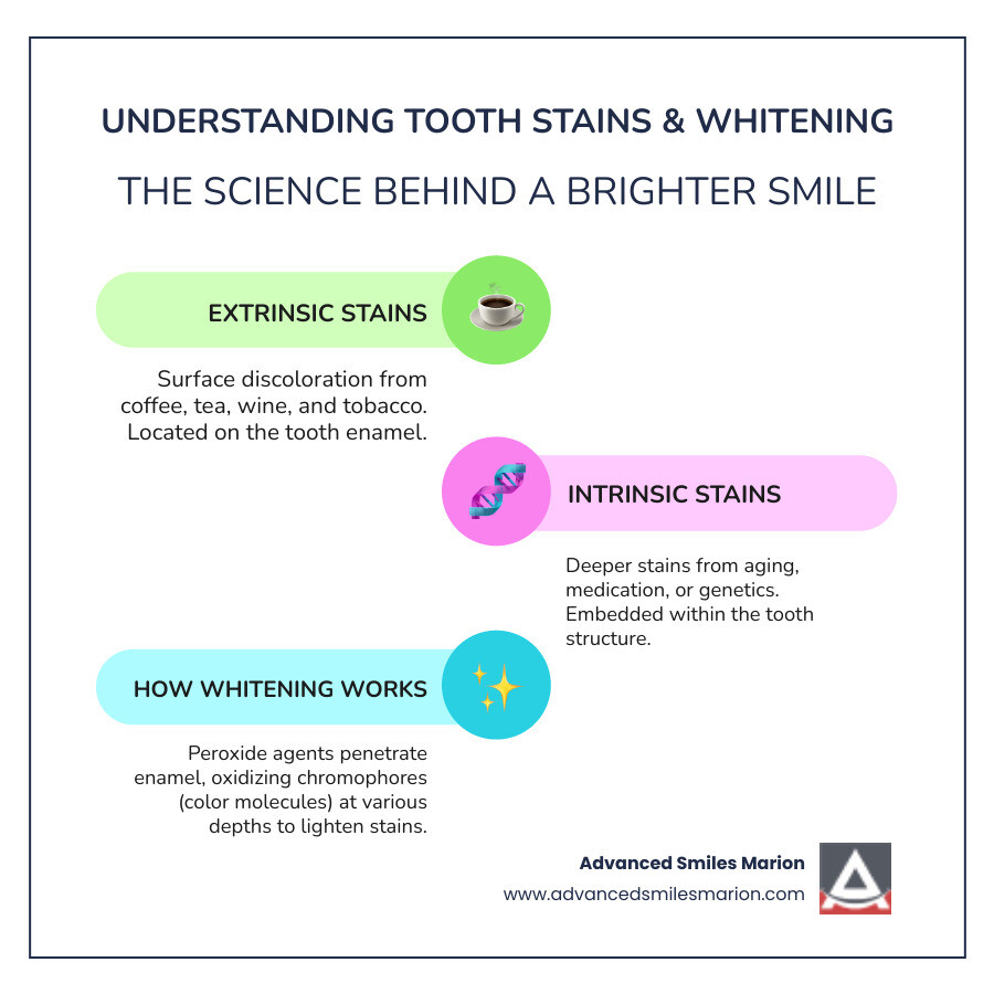 Comprehensive infographic showing different types of tooth stains: extrinsic stains from coffee, tea, wine, and tobacco on tooth surface versus intrinsic stains from aging, medication, and genetics that penetrate deeper into tooth structure, with visual representations of how peroxide-based whitening agents work to break down chromophores at different depths - best at-home teeth whitening kit infographic infographic-line-3-steps-colors