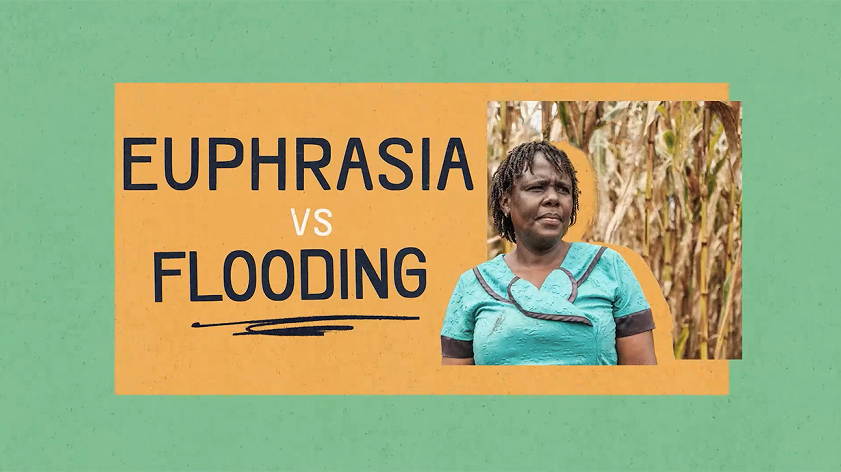 Euphrasia vs Flooding