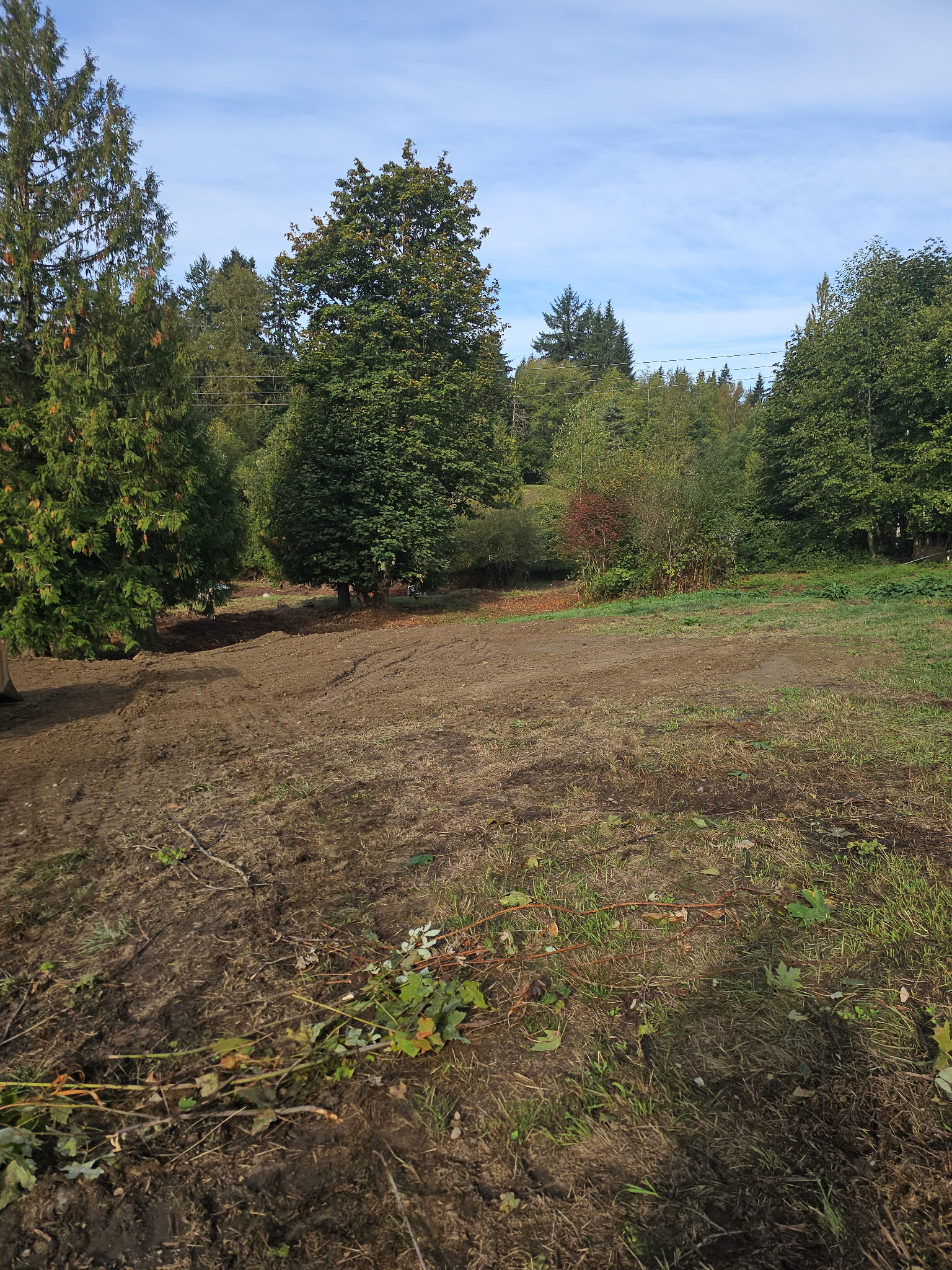Mulch and Grading Snohomish