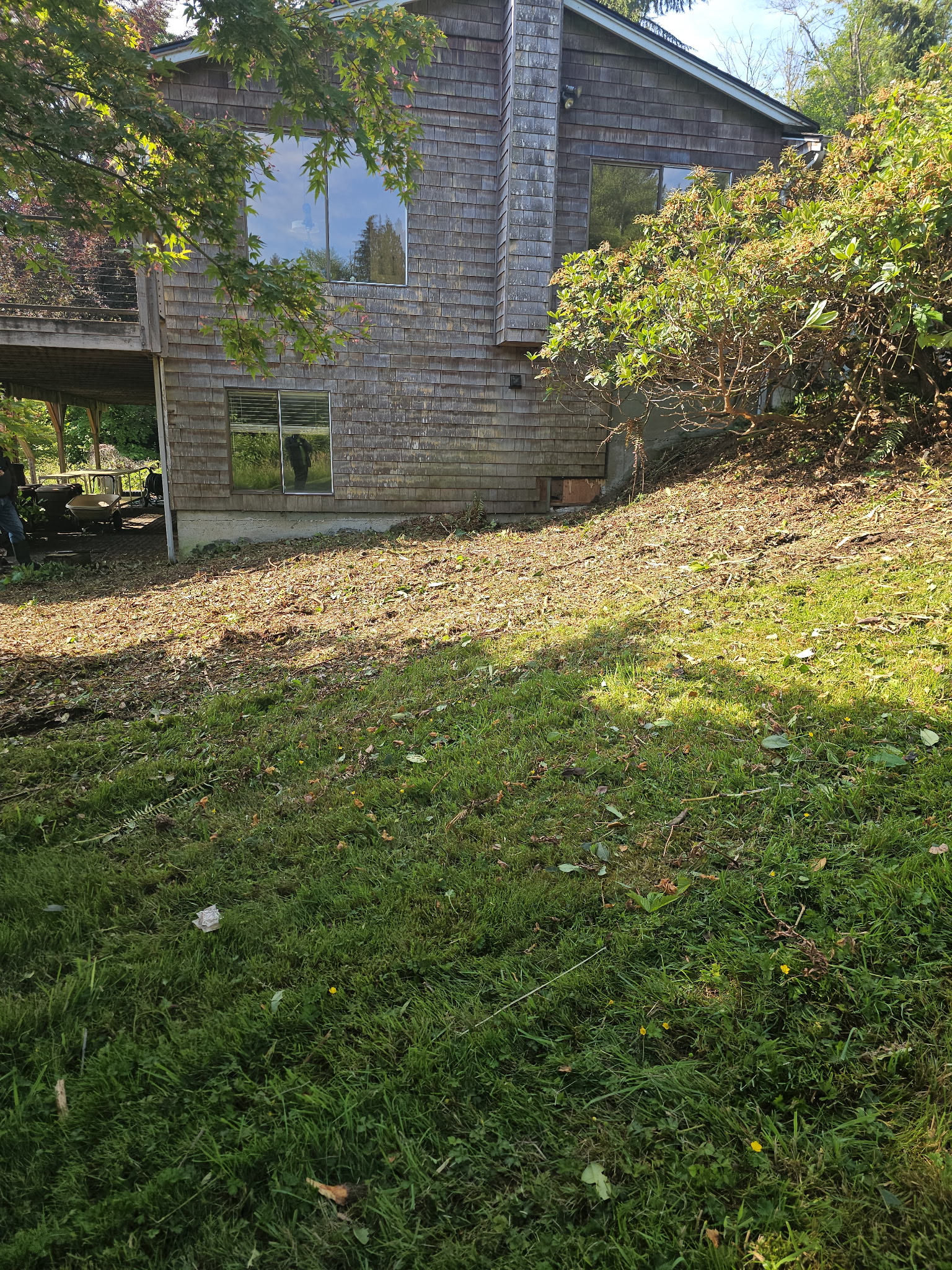 Snohomish Much Cleanup