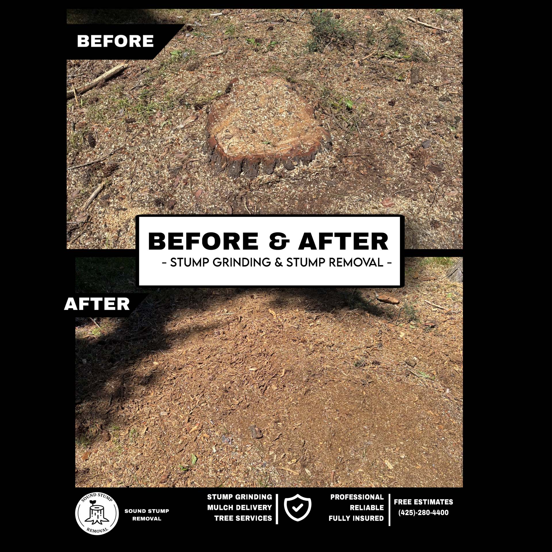 Small Tree Stump Grinding