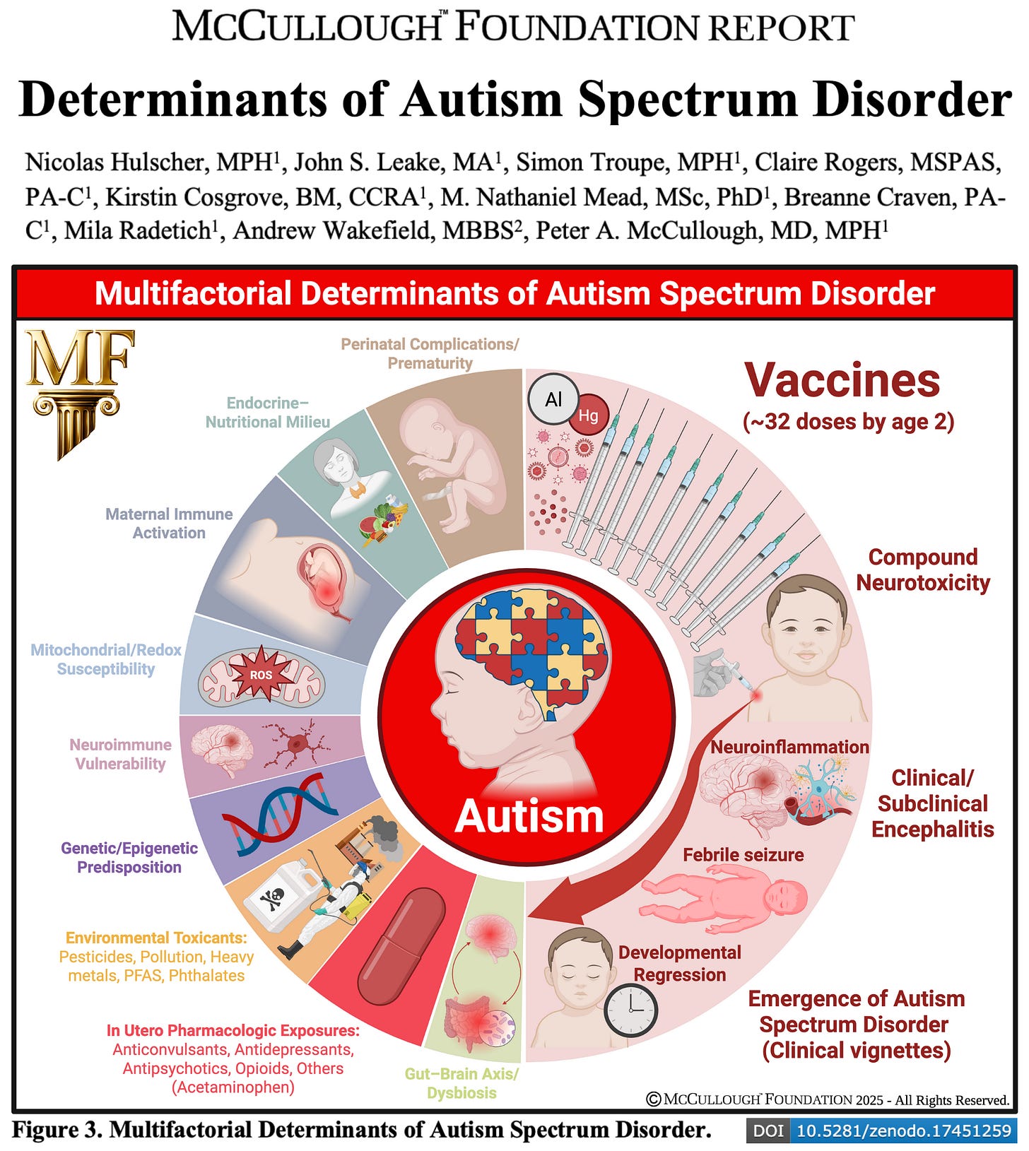 Landmark Report Finds Vaccination Is the Dominant Risk Factor for Autism Spectrum Disorder