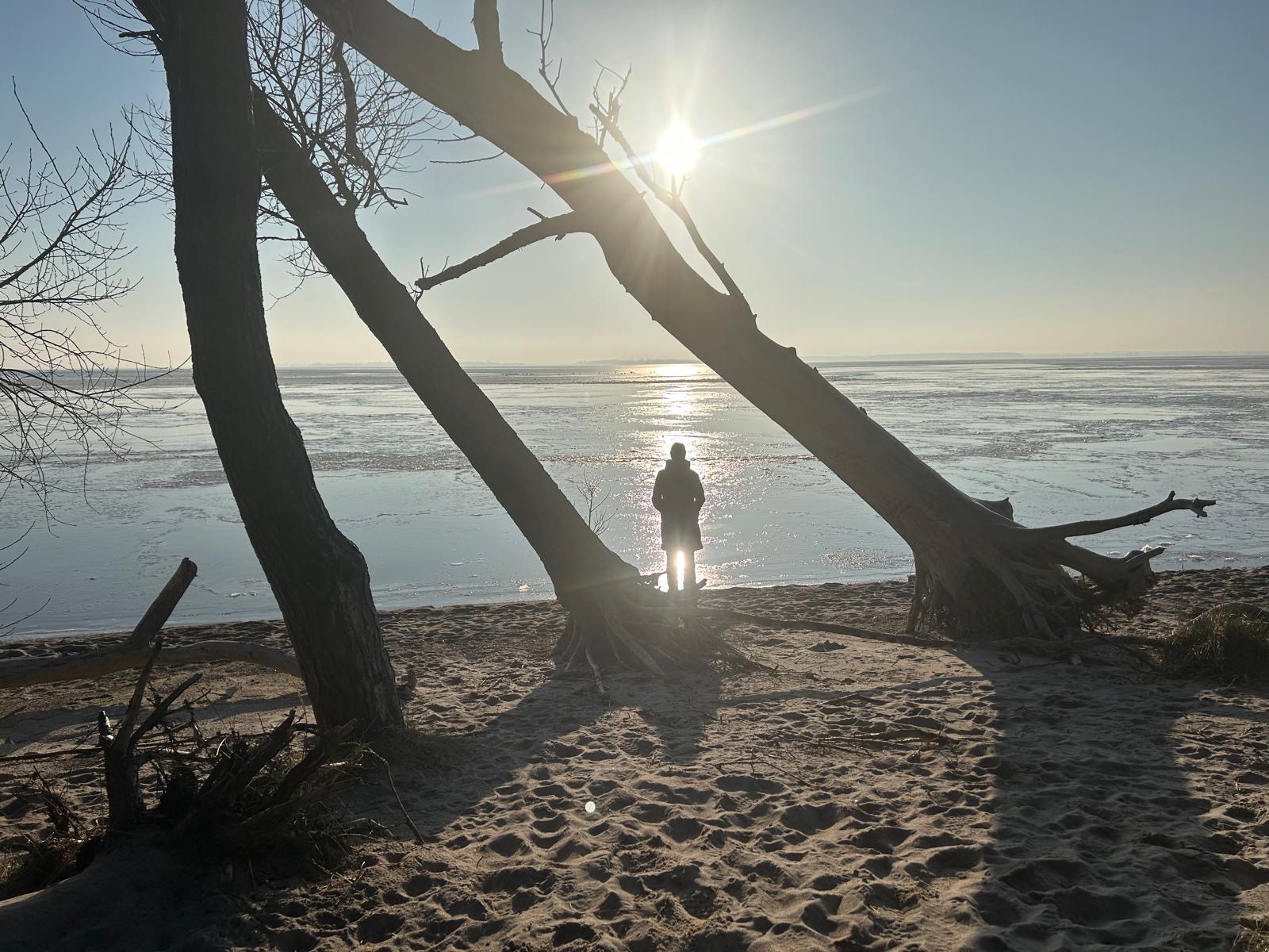 Strand mit Holzpfählen in Boden
