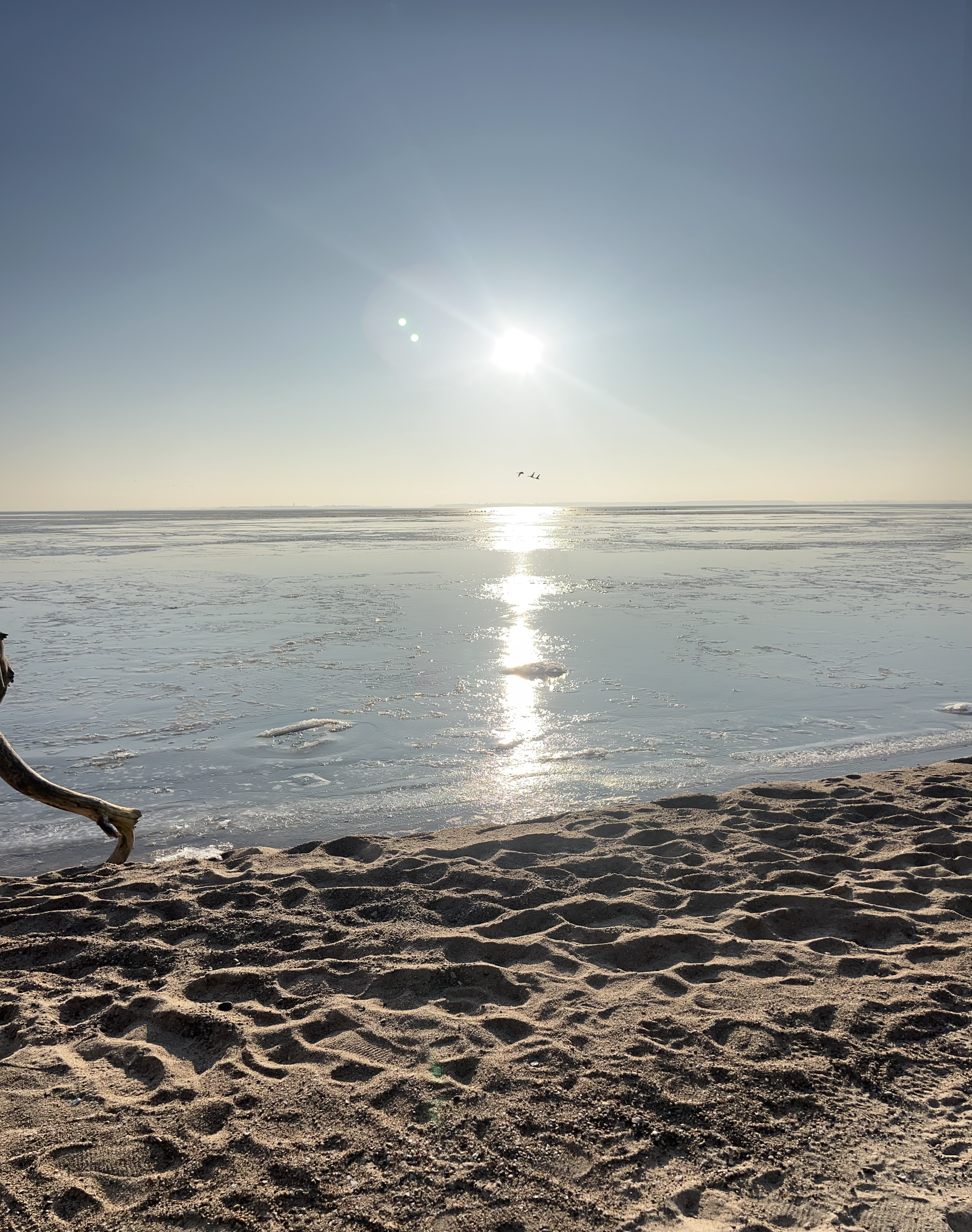 Marion Stahl Portrait