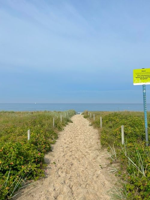 Schneebedeckte Landschaft mit blauem Himmel