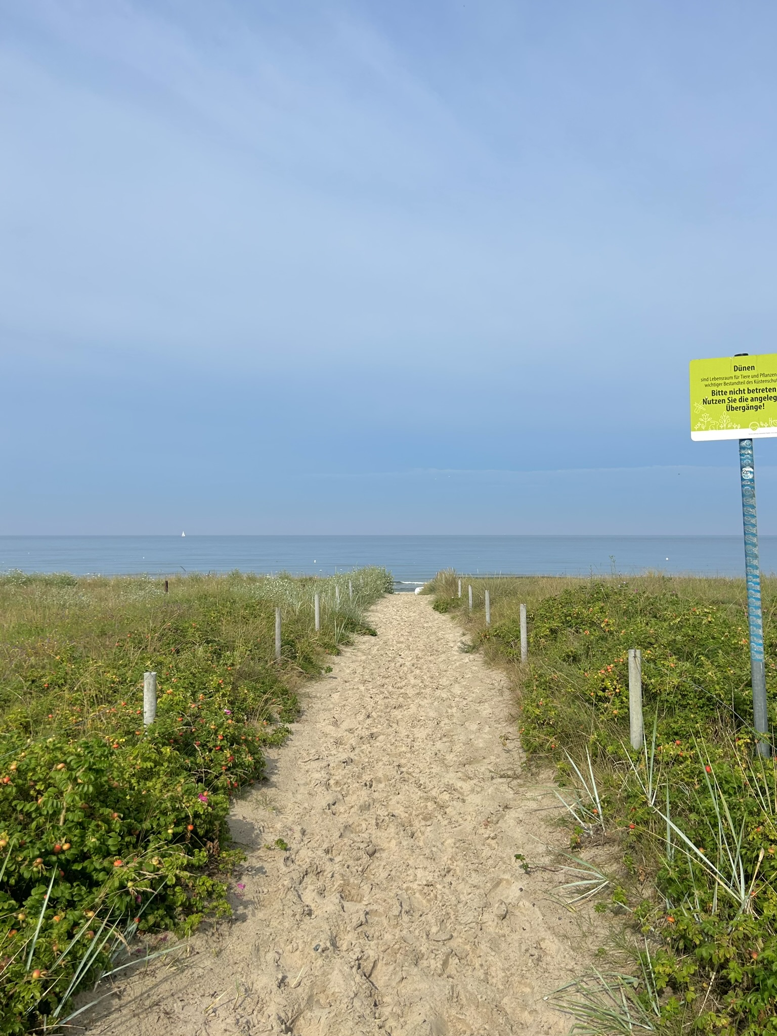 Schneebedeckte Landschaft mit blauem Himmel