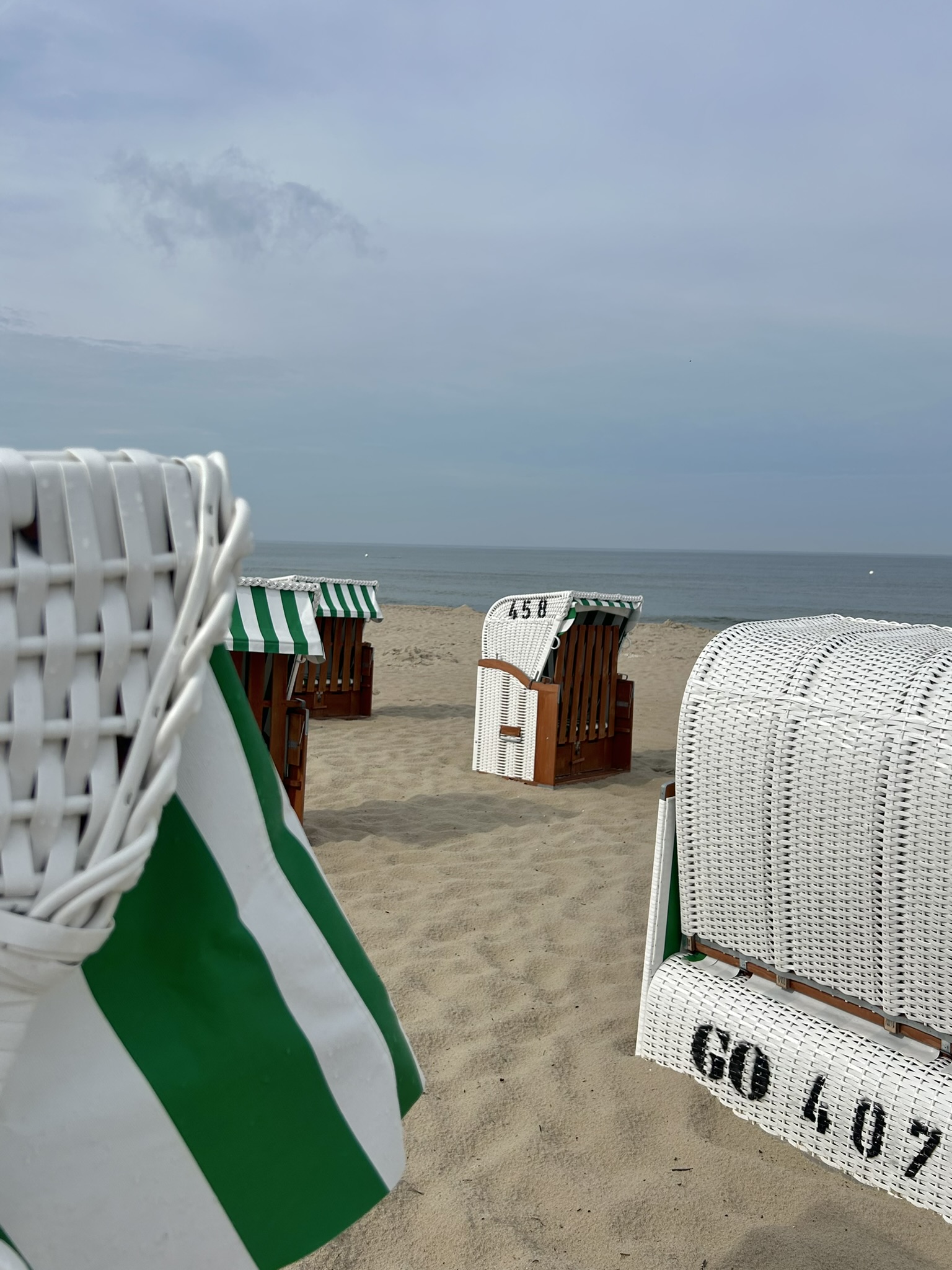 Grüner Wald mit großem Baum in der Mitte