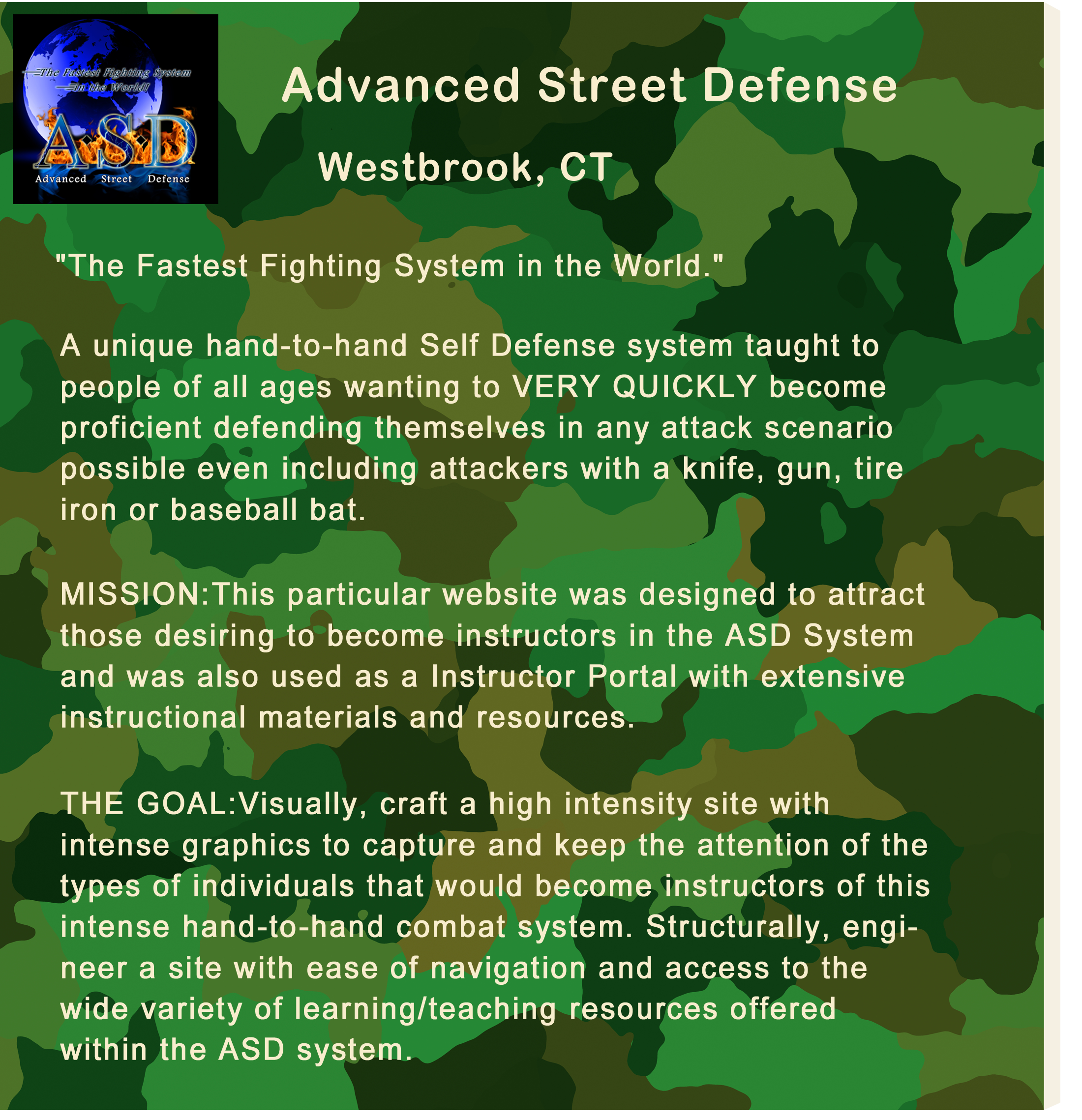 Panel showing a camouflage background with information about how we designed the ASD website.