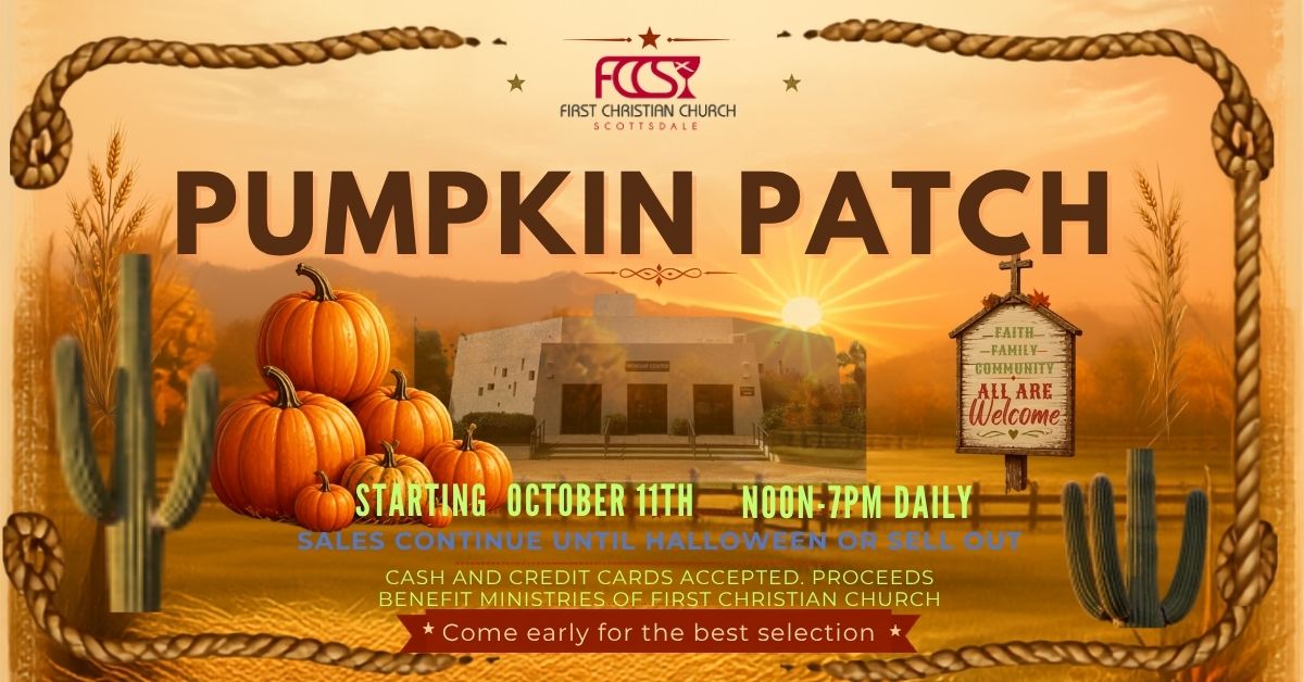 Pumpkin Patch Is Back!