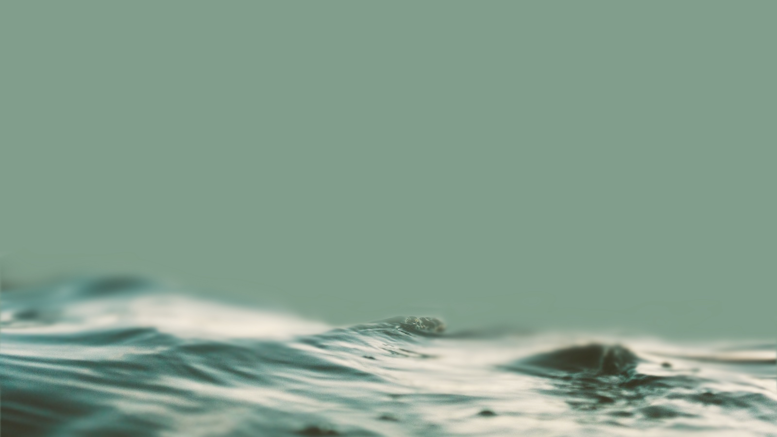Somatic Experiencing® & Formative Psychology & Authentische Kommunikation